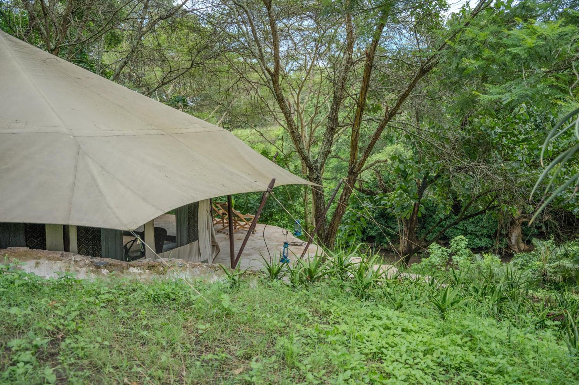 Dolly Farm & River Camp, Luxury Tents Usa River Eksteriør billede