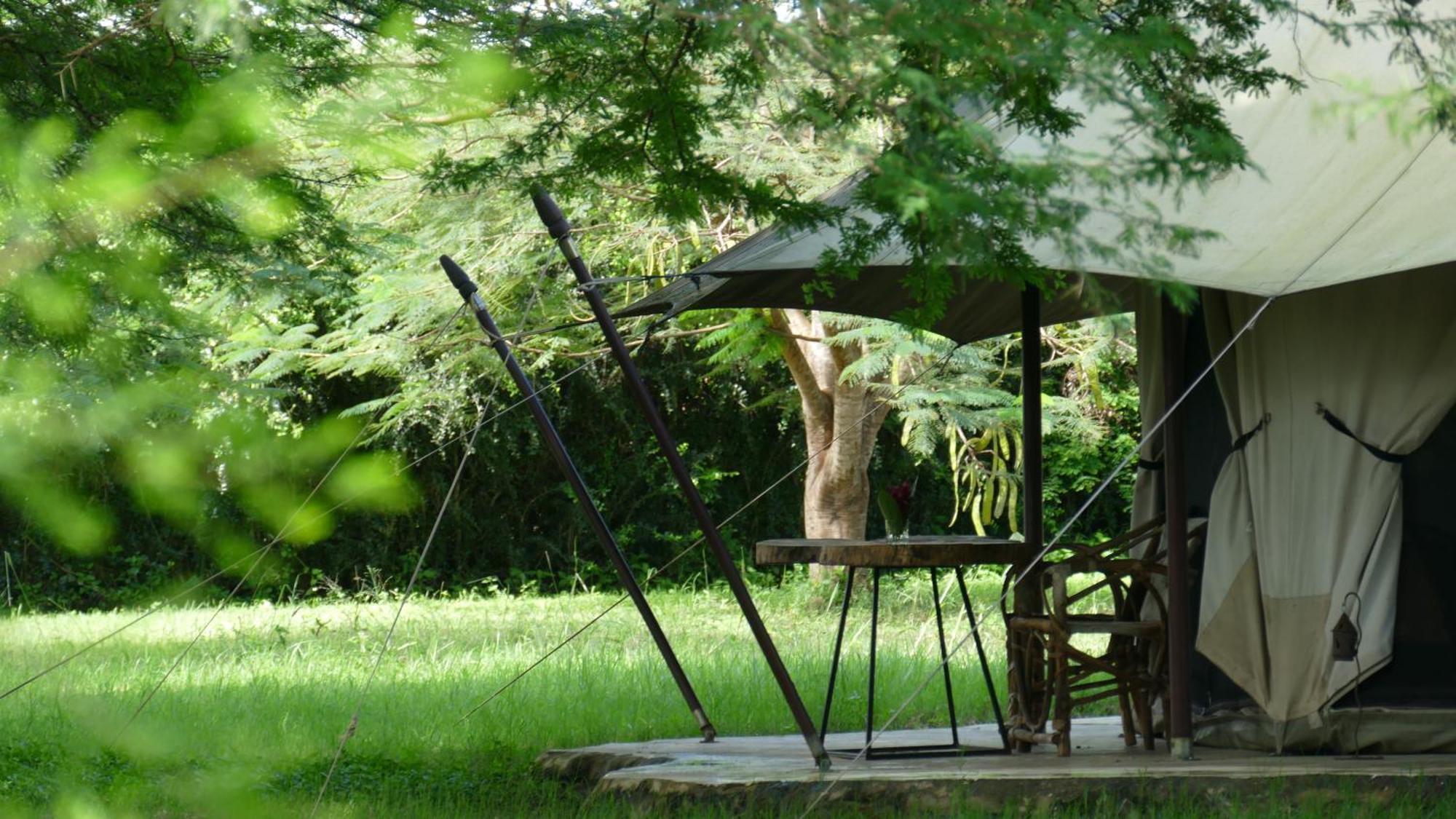 Dolly Farm & River Camp, Luxury Tents Usa River Eksteriør billede