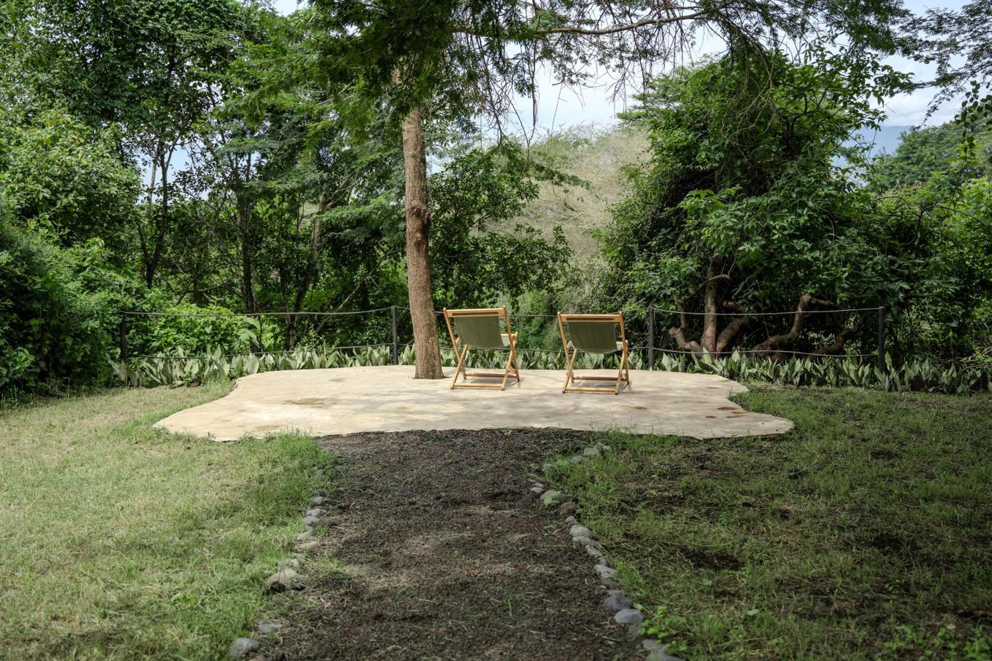 Dolly Farm & River Camp, Luxury Tents Usa River Eksteriør billede