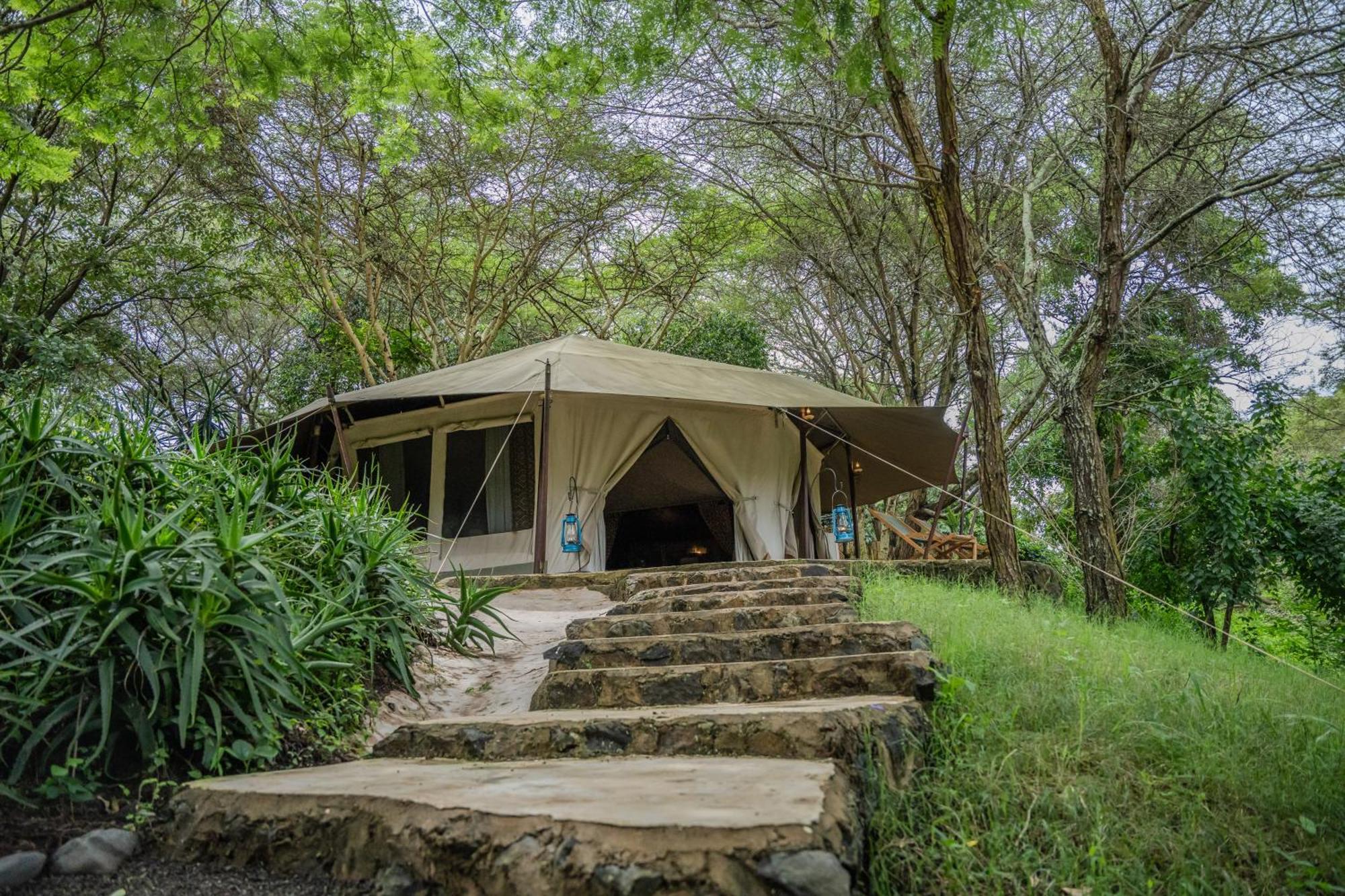 Dolly Farm & River Camp, Luxury Tents Usa River Eksteriør billede