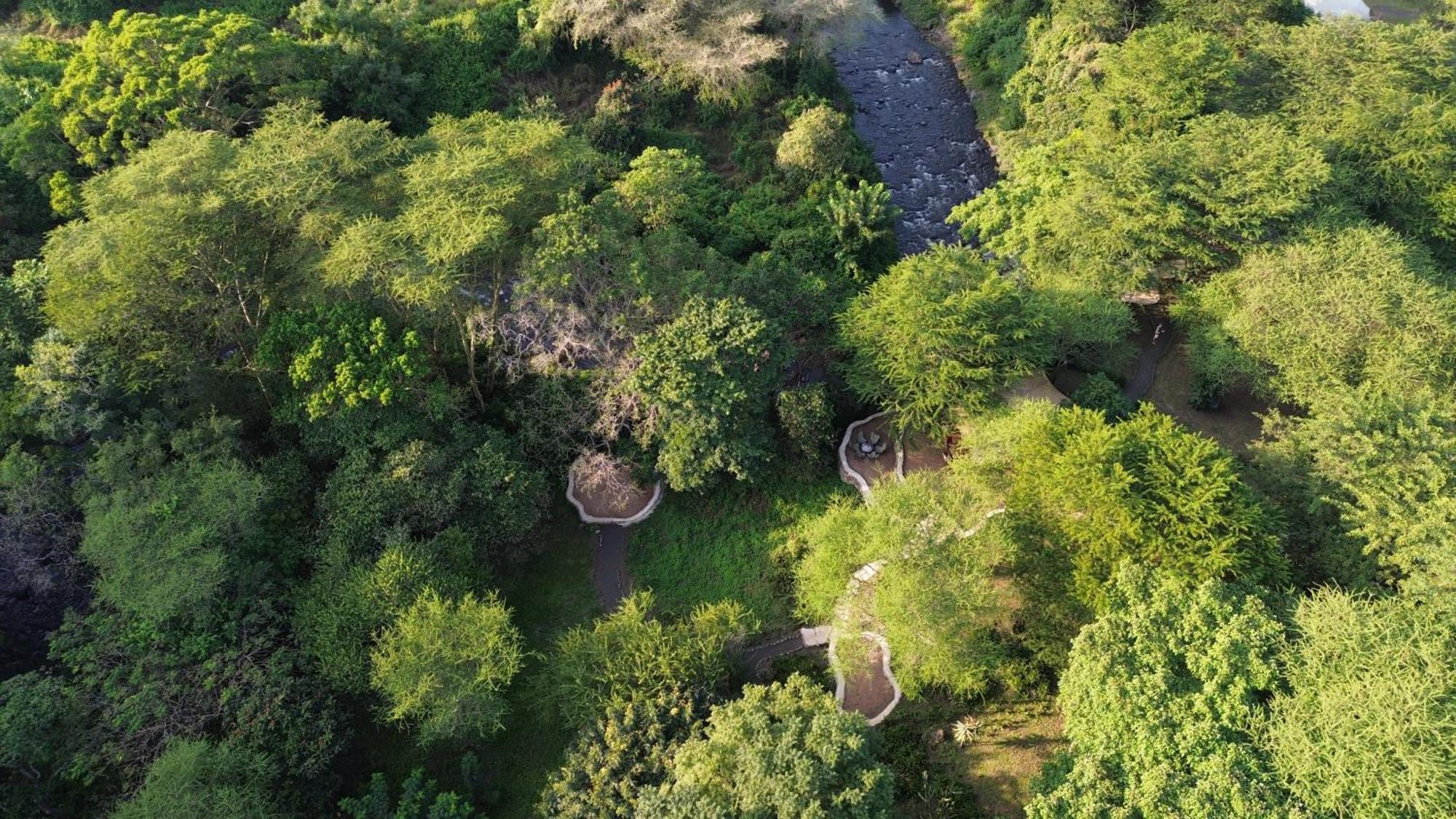 Dolly Farm & River Camp, Luxury Tents Usa River Eksteriør billede